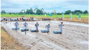 "(၁၈ - ၈ - ၂၀၂၅ )ရက်နေ့ ကြေးမုံသတင်းစာ စာမျက်နှာ(၁၆)"