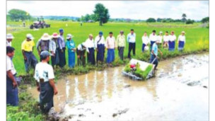 (၂၃ - ၈ - ၂၀၂၅ )ရက်နေ့ မြန်မာ့အလင်းသတင်းစာ စာမျက်နှာ (၁၇)"